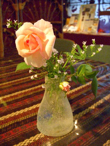 dscn0569.jpg