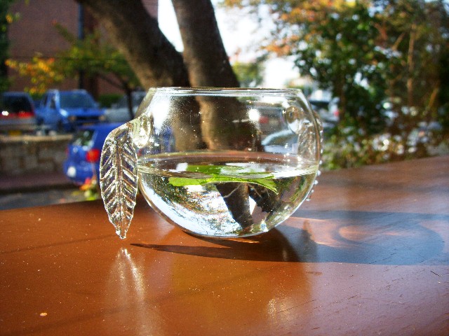 dscn1252.jpg