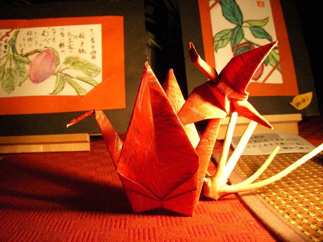 dscn1800.jpg
