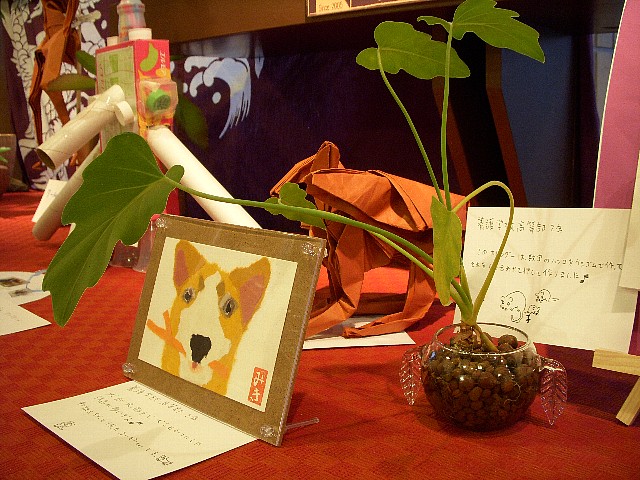 dscn2072.jpg