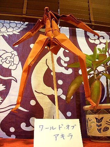 dscn2077.jpg
